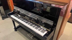 ヤマハU100